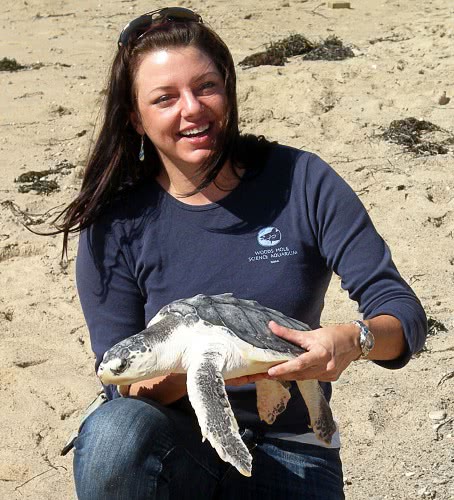 Kemps Ridley sea turtle NOAA