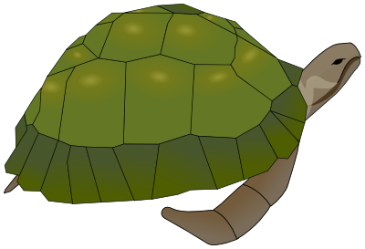 sea turtle 1