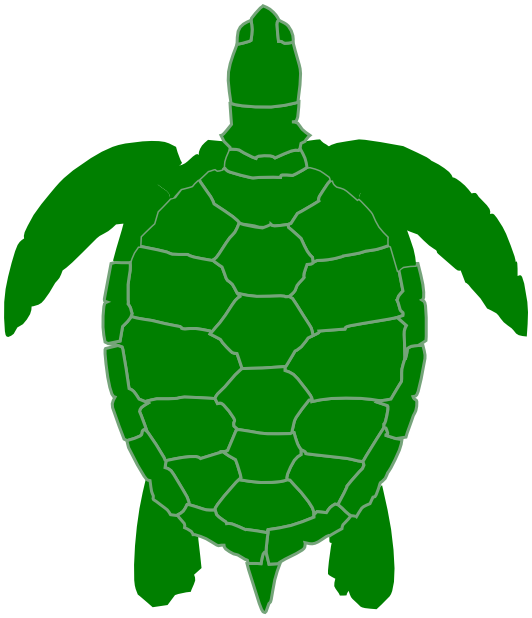 sea turtle green art