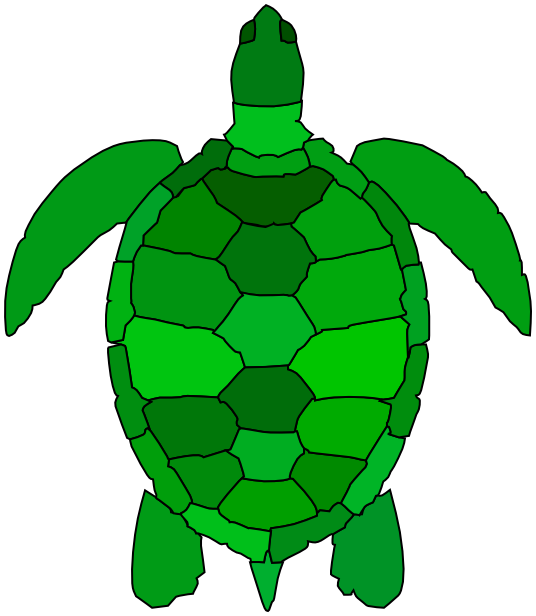 sea turtle stylized