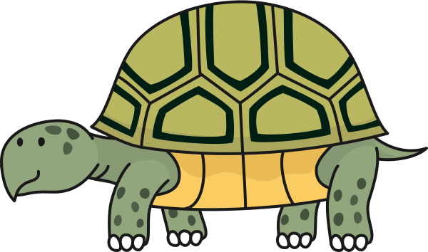 tortoise-clip