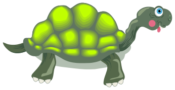tortoise 3