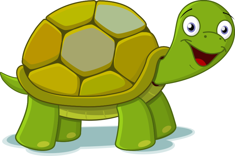 turtle-happy