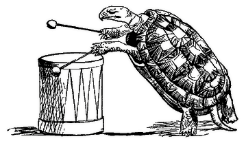 turtle drumming