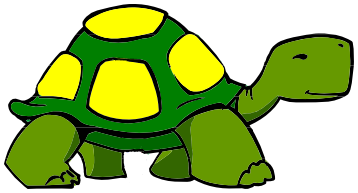 turtle walking spot color