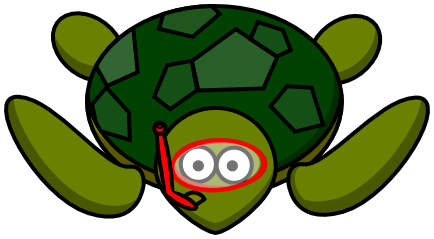 turtle wearing snorkel