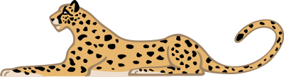 cheetah  Acinonyx jubatus