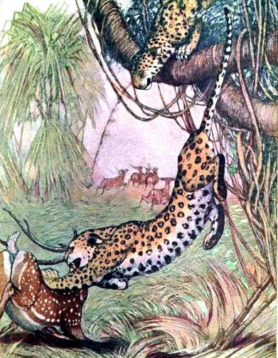 leopard attacking deer