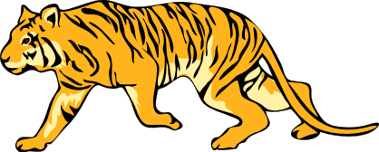 tiger 5