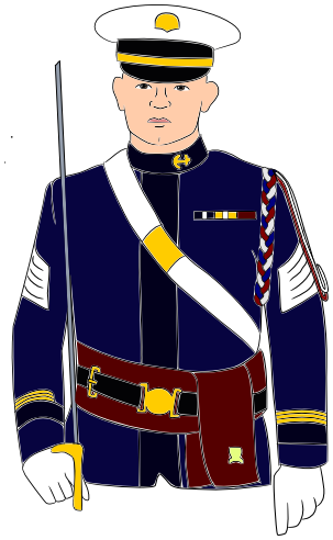 navy officer dress uniform sort of