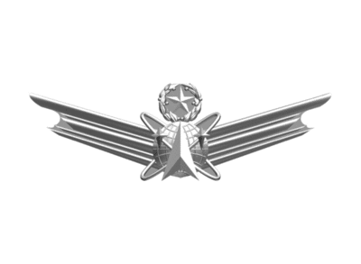 Air Force Space Badge  Master