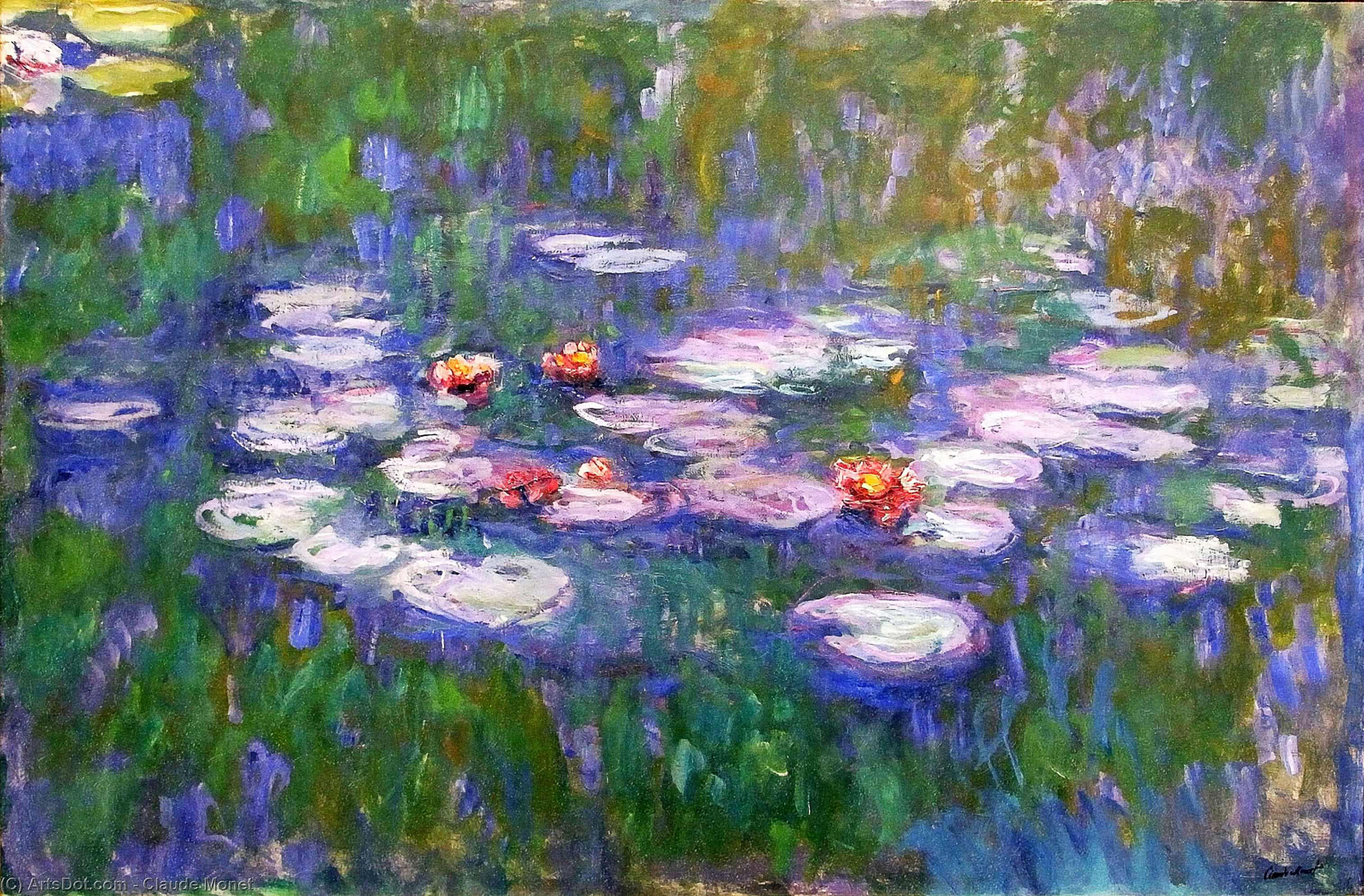 water lilies 62
