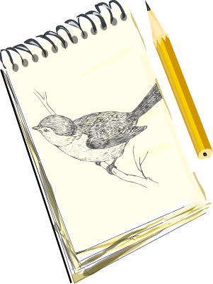 sketchpad with bird