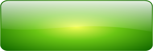 glossy button blank green rectangle