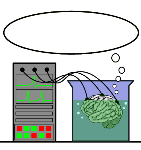 brain in a vat thought bubble