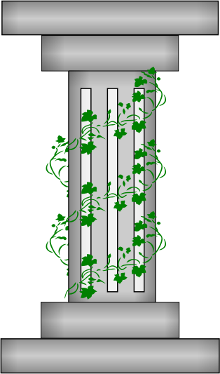 column w ivy