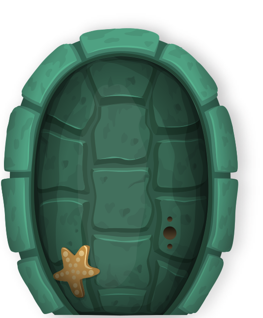 turtle shell door