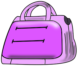overnight bag purple