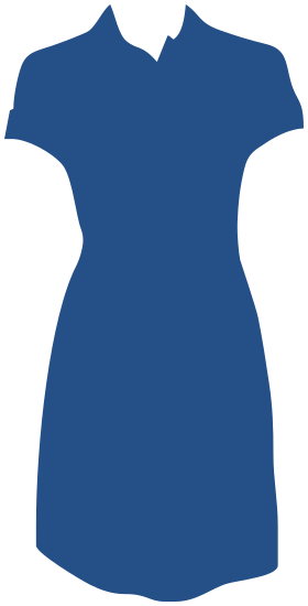 dress shape 2