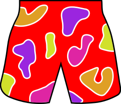 beach shorts colorful