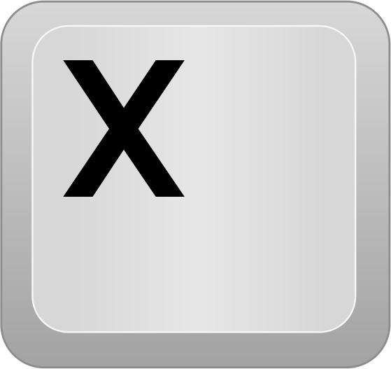 computer key X