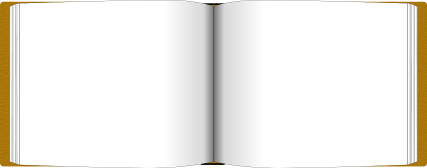 open face book blank