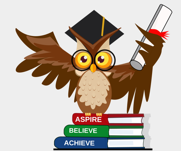 aspire-believe-achieve-owl