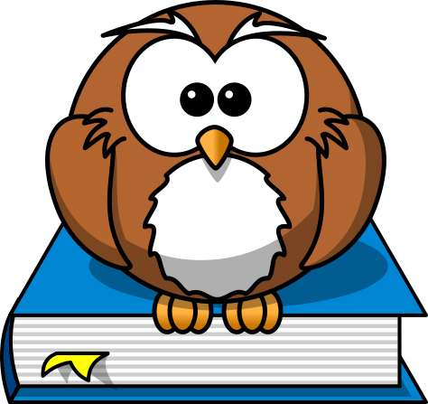 cartoon owl on book blue