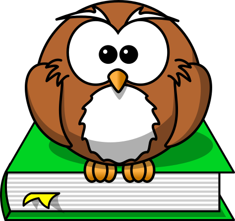 cartoon owl on book green