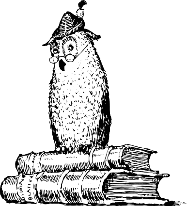 wise owl on books