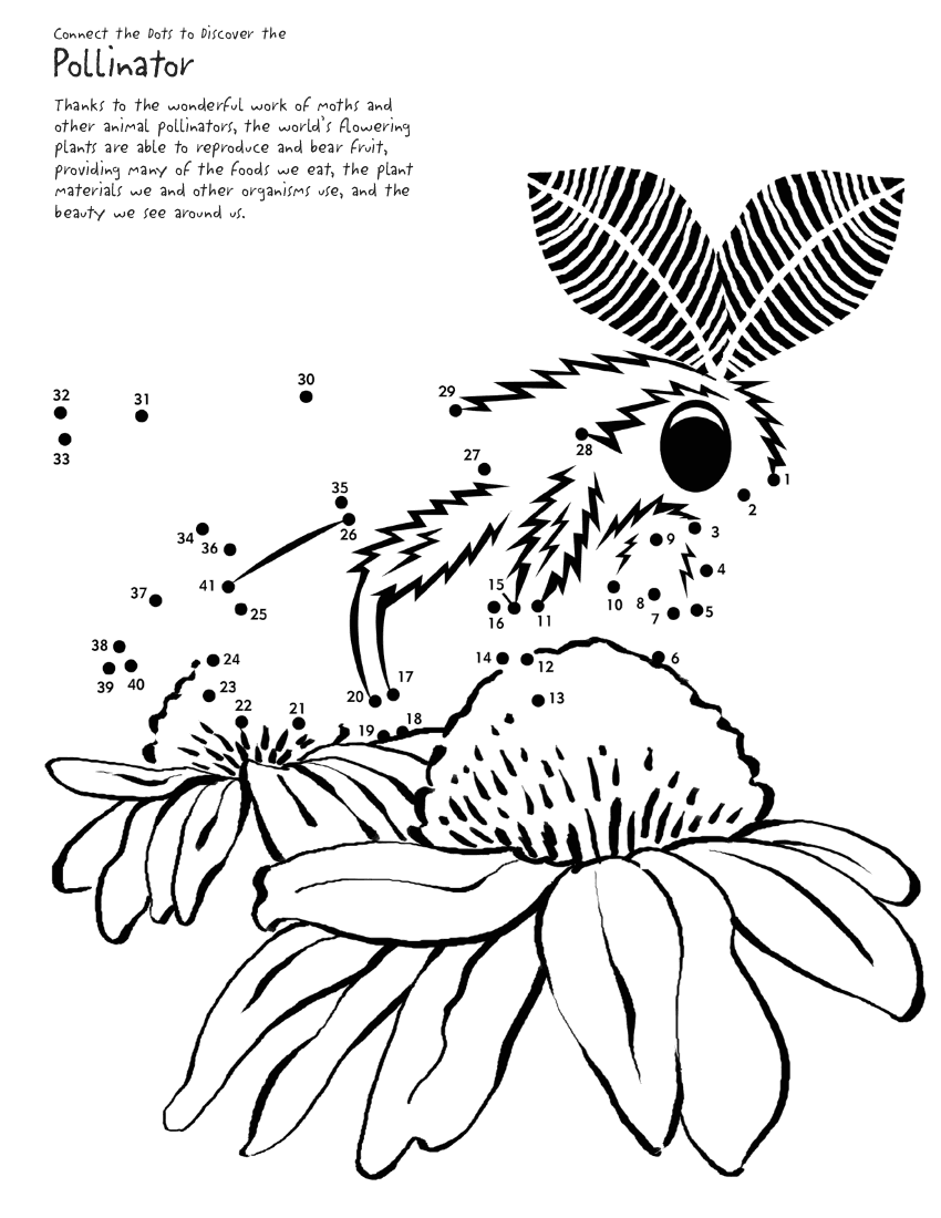 connect dots moth page