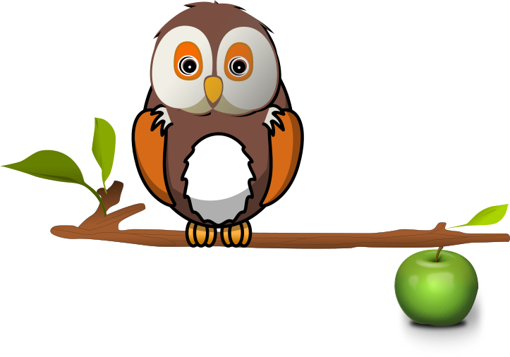 owl on branch apple