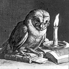 studious owl
