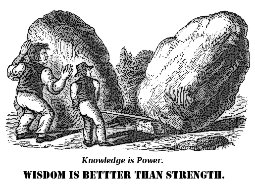 wisdom is better than strength