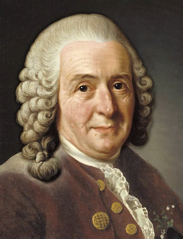 Carl Linnaeus portrait