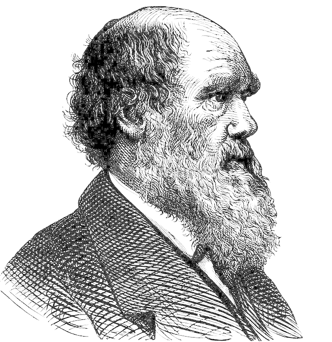Charles Darwin profile lineart