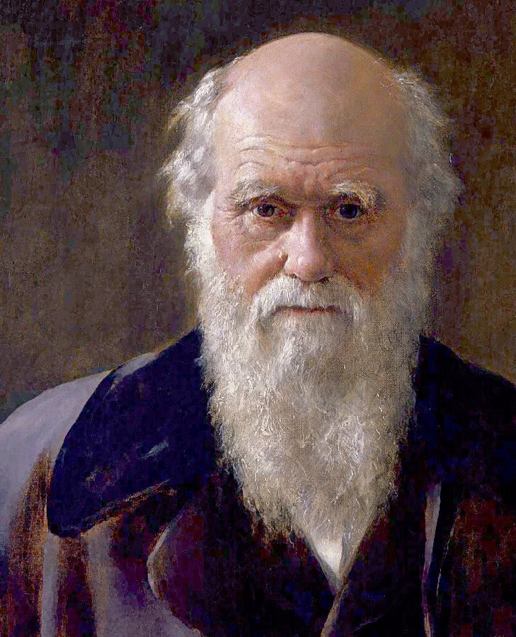 Darwin by Collier