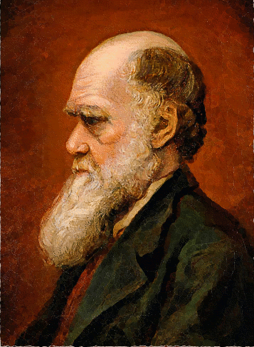 Darwin painting