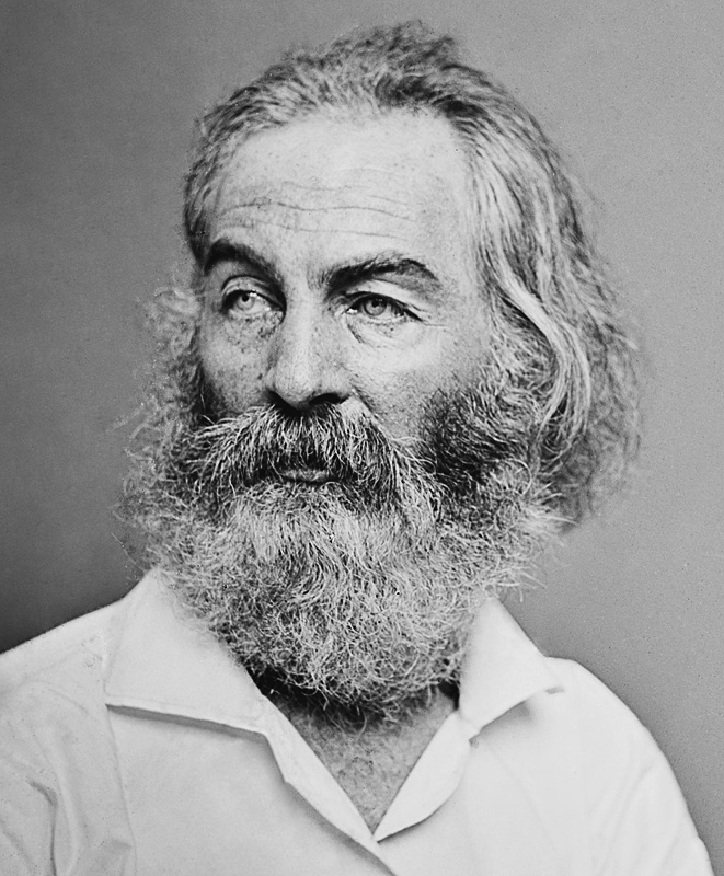 Walt Whitman  by Brady