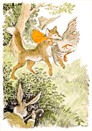 Brushtail the Fox