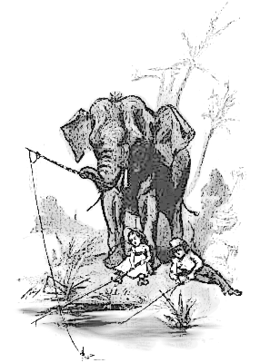 elephant fishing