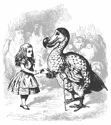 Dodo presenting thimble