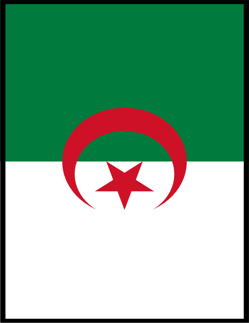 Algeria flag full page