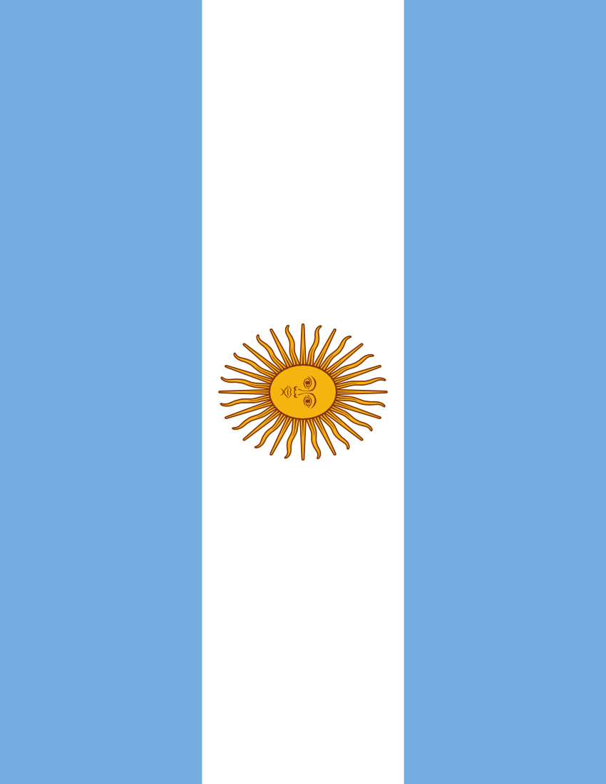 argentina flag full page