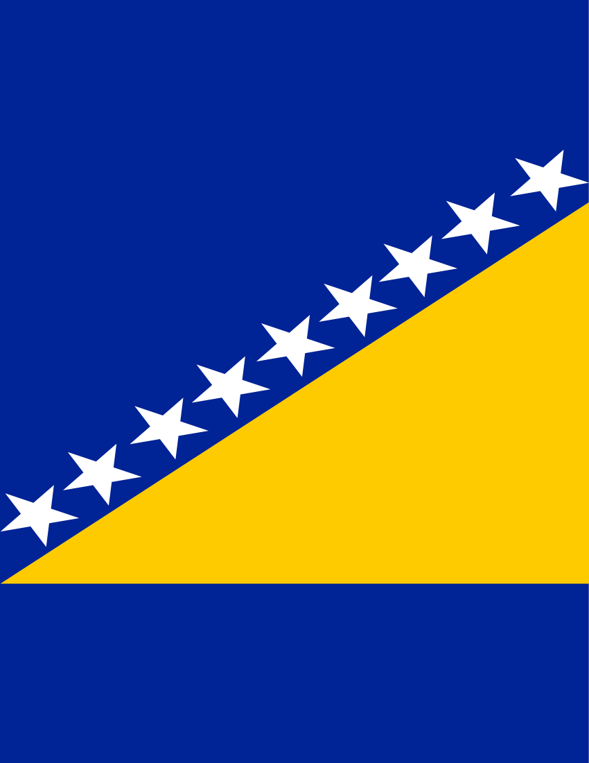bosnia and herzegovina flag full page