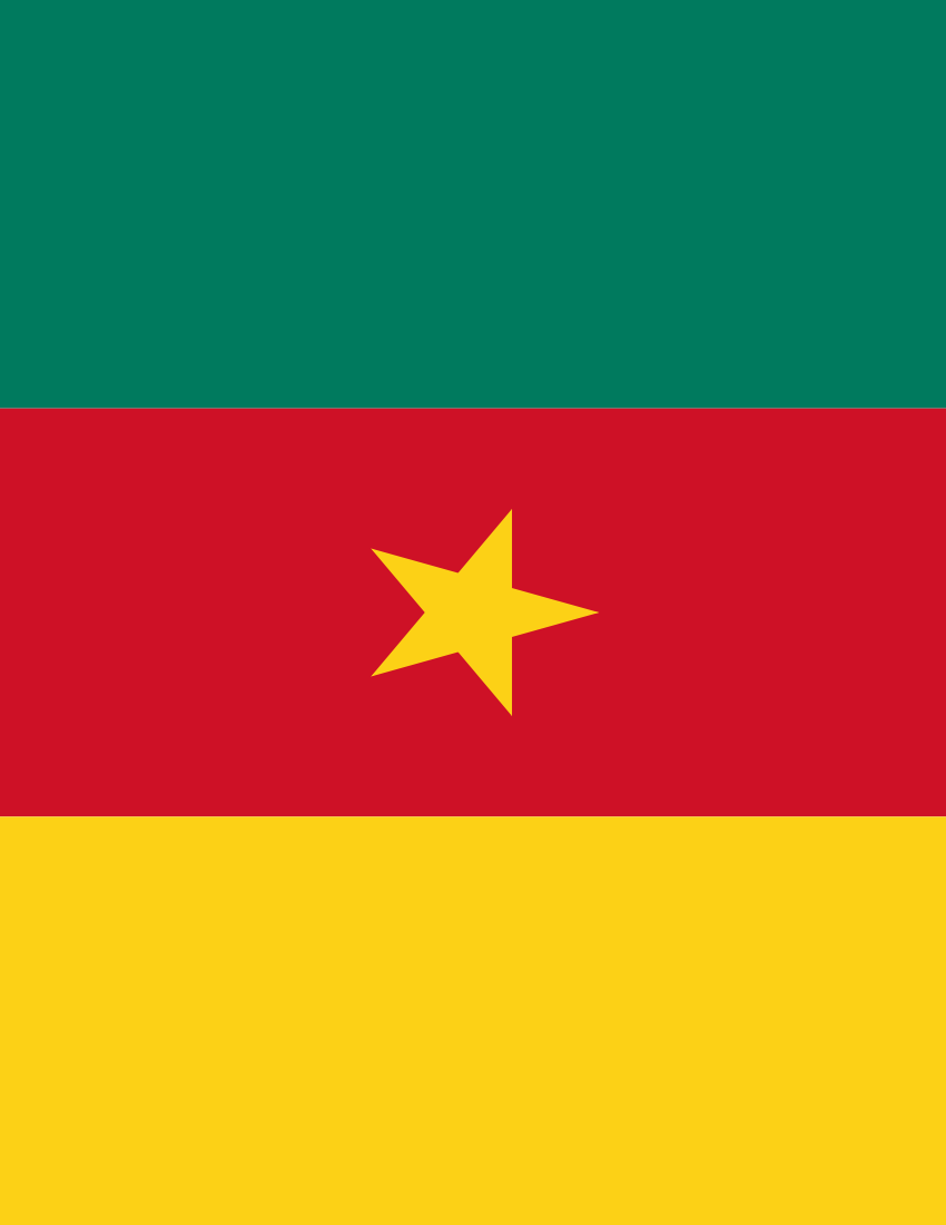 cameroon flag full page