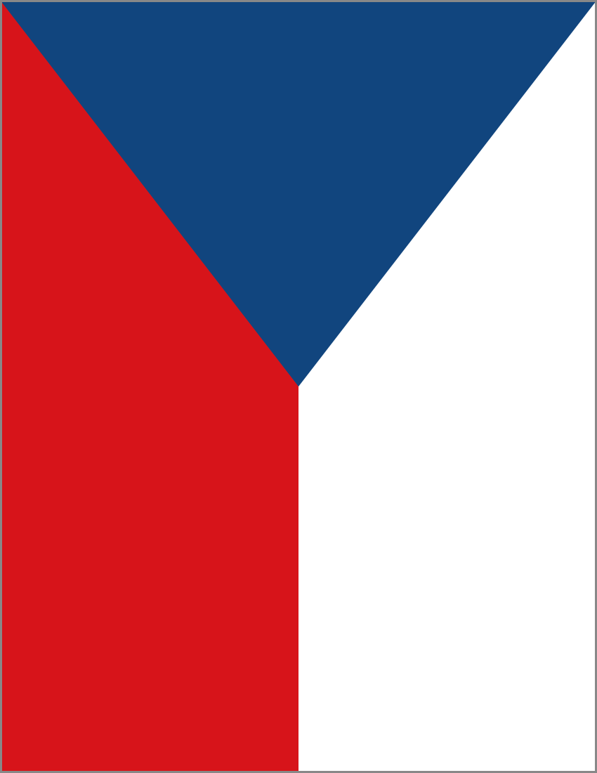 czech republic flag full page