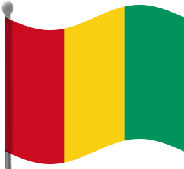 guinea flag waving