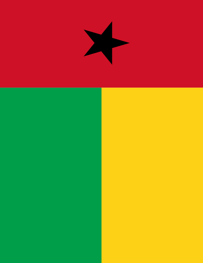 guinea bissau flag full page