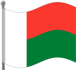 madagascar flag waving